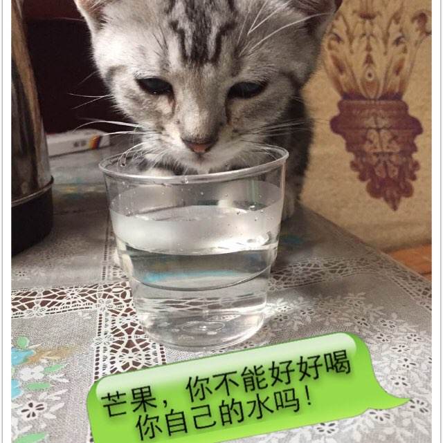 乔治城大学degree